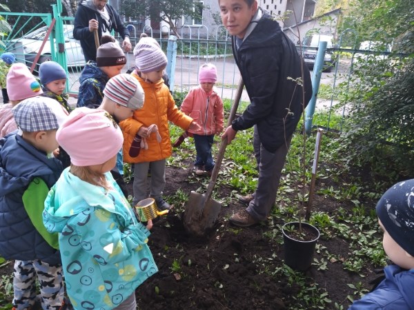 Ботанический сад зацветет в детском саду