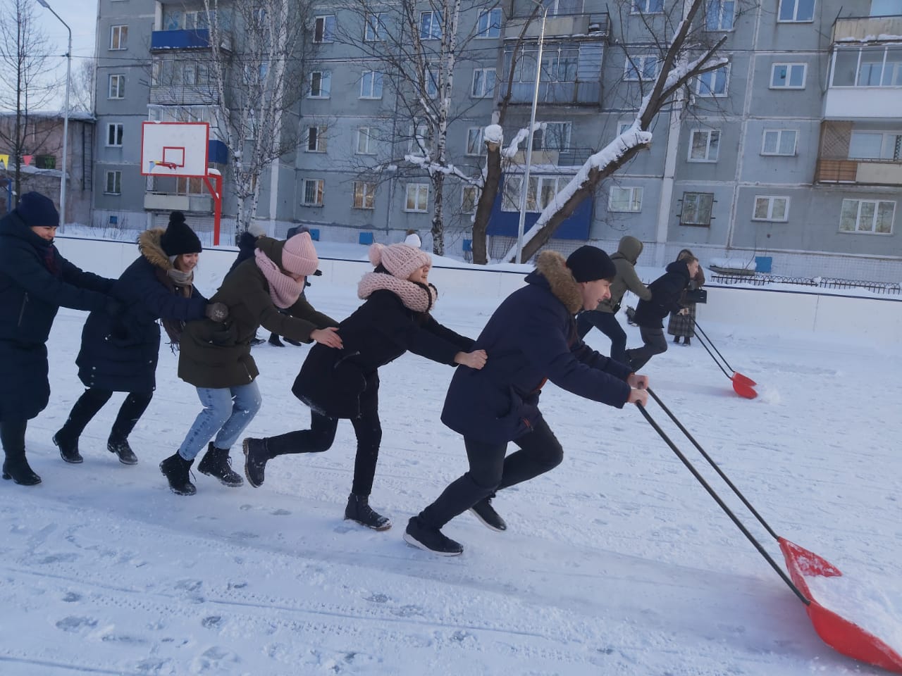 Зима в движении